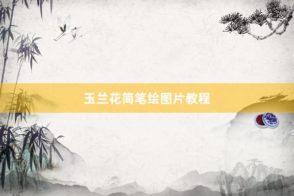 玉兰花简笔绘图片教程